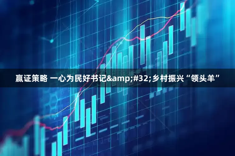 赢证策略 一心为民好书记&#32;乡村振兴“领头羊”