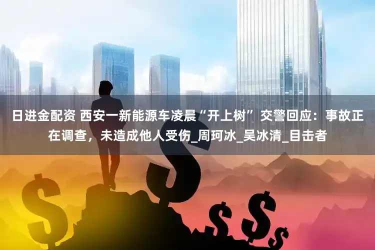 日进金配资 西安一新能源车凌晨“开上树” 交警回应：事故正在调查，未造成他人受伤_周珂冰_吴冰清_目击者